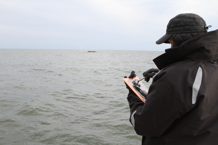 COMPASS mobile app in use on a waterproofed iPad